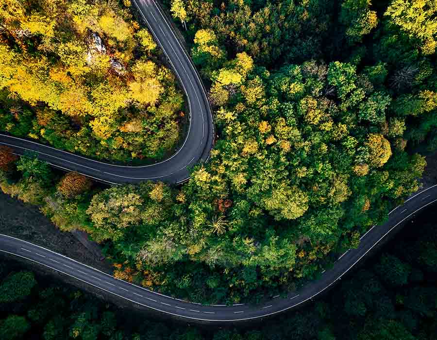 Una carretera en una zona boscosa