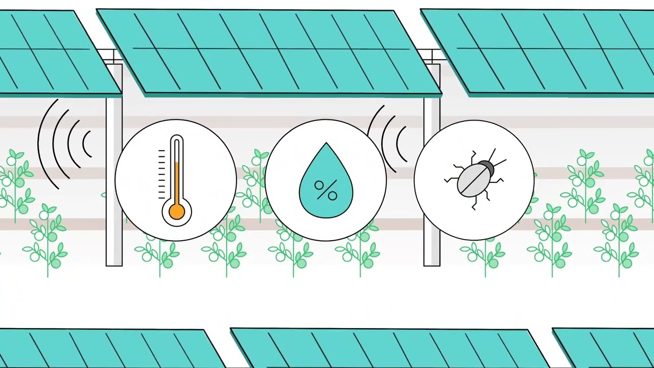 Ilustración de una instalación solar agrovoltáica